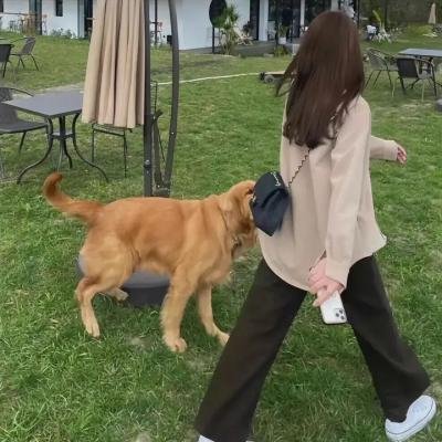 要爸还是妈
